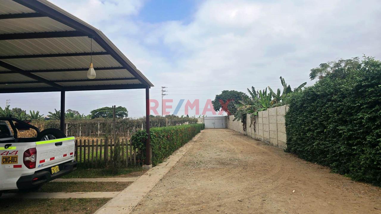 Terreno En Venta 1.288 Ha. En Quilmaná - Cañete - 14