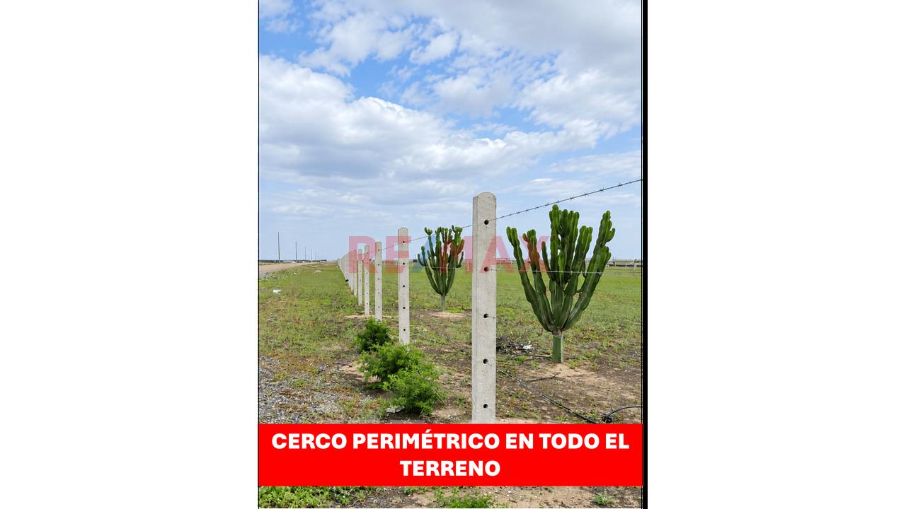 2 Ha Para Proyecto Logistico | Con 100 Ml De Frente En Plena Panamericana Norte | Entrada De Huaura - 7