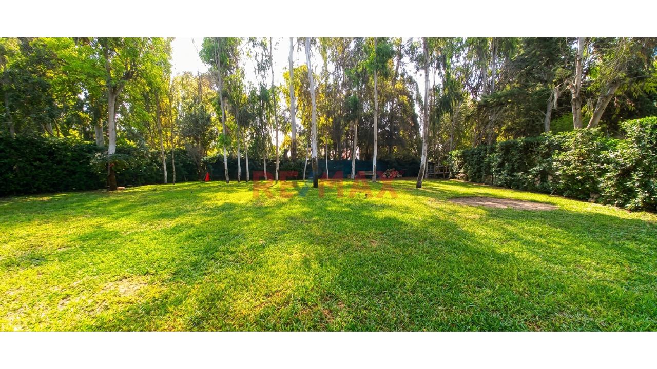 Se Vende Linda Casa En Lurín *Amplio Jardín *Terraza *Cochera *45 Minutos De Lima - 13