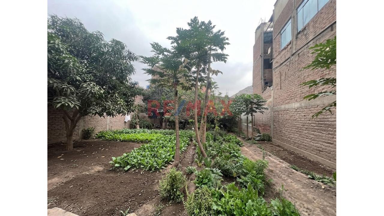 Terreno De 360 M² Y 16 Metros De Frente Para Desarrollar Tu Proyecto | Chaclacayo - 5