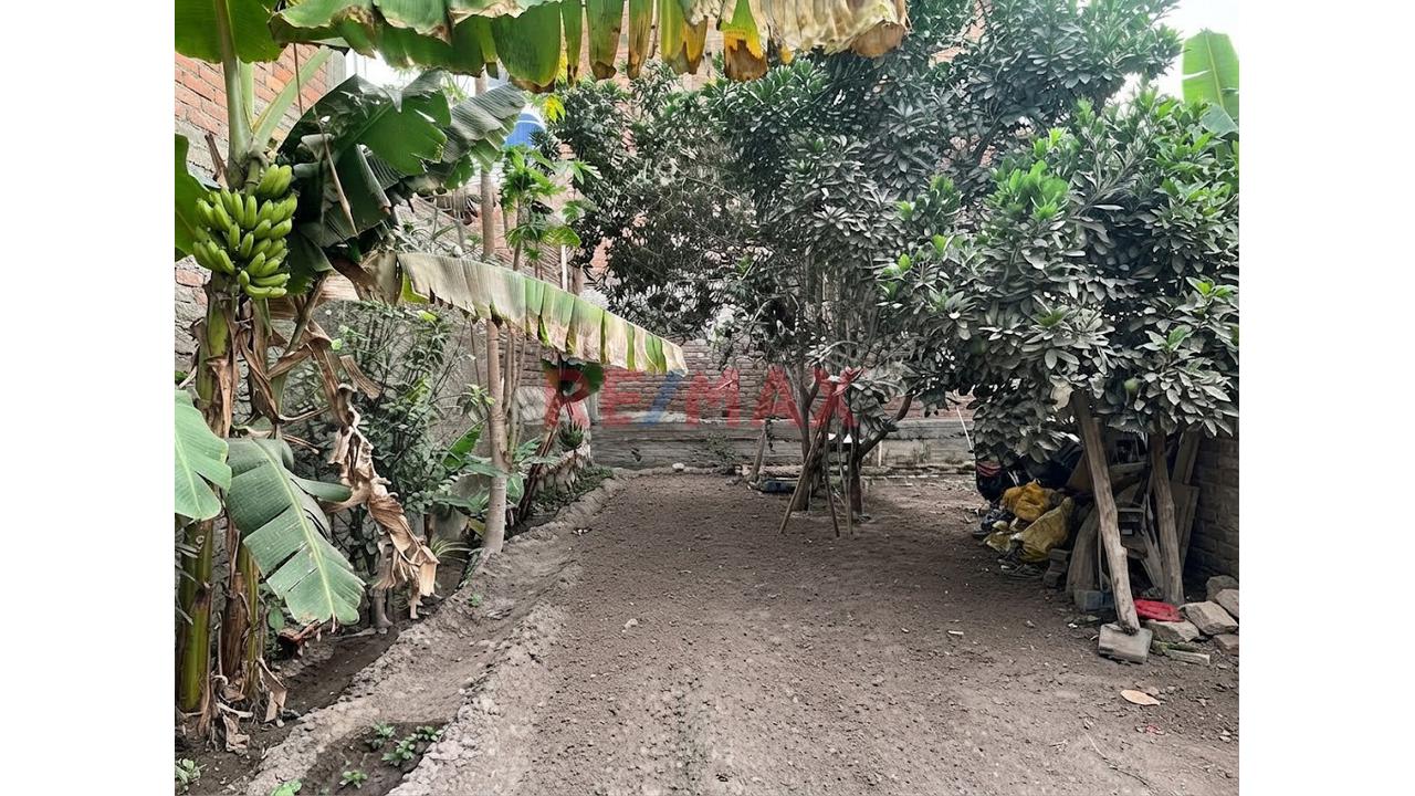 Terreno De 360 M² Y 16 Metros De Frente Para Desarrollar Tu Proyecto | Chaclacayo - 6