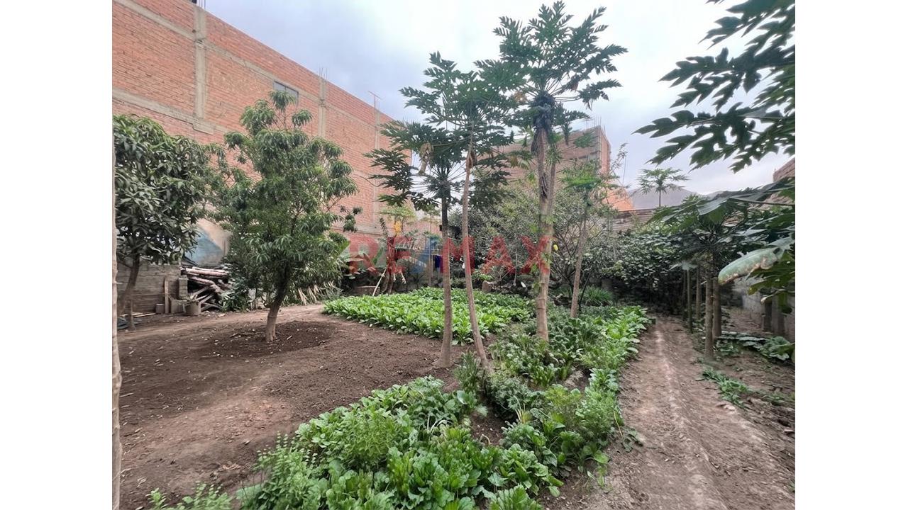 Terreno De 360 M² Y 16 Metros De Frente Para Desarrollar Tu Proyecto | Chaclacayo - 3