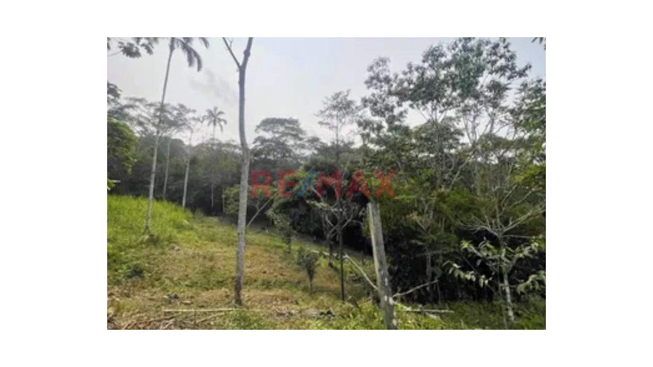 Hermoso Terreno En Lamas - San Martin. Super Precio - 2