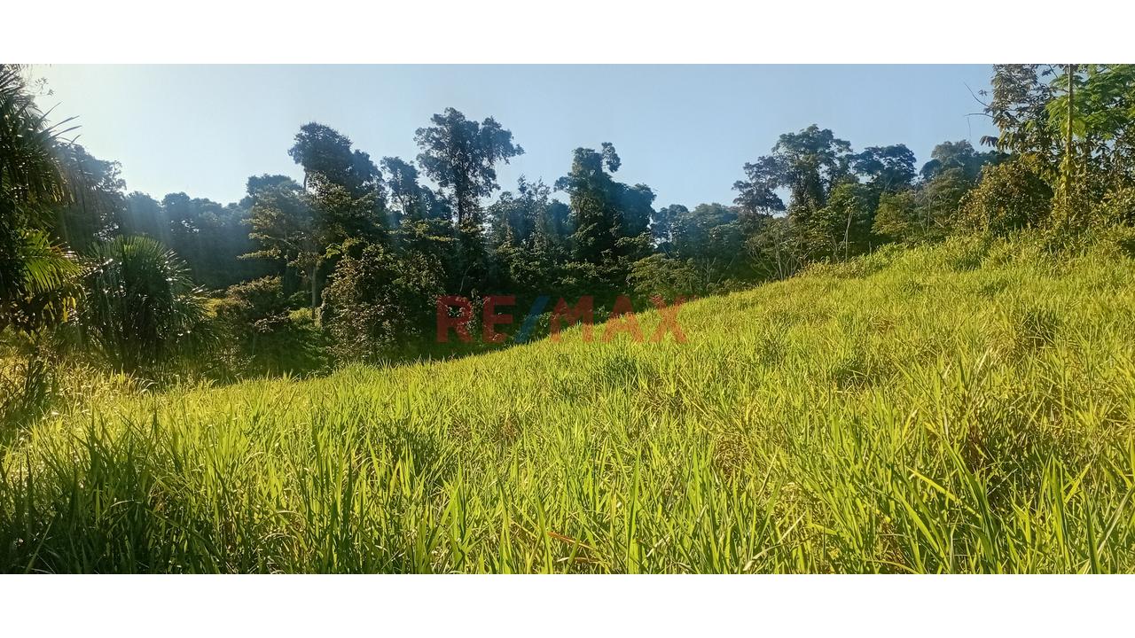 Hermoso Terreno En Lamas - San Martin. Super Precio - 4