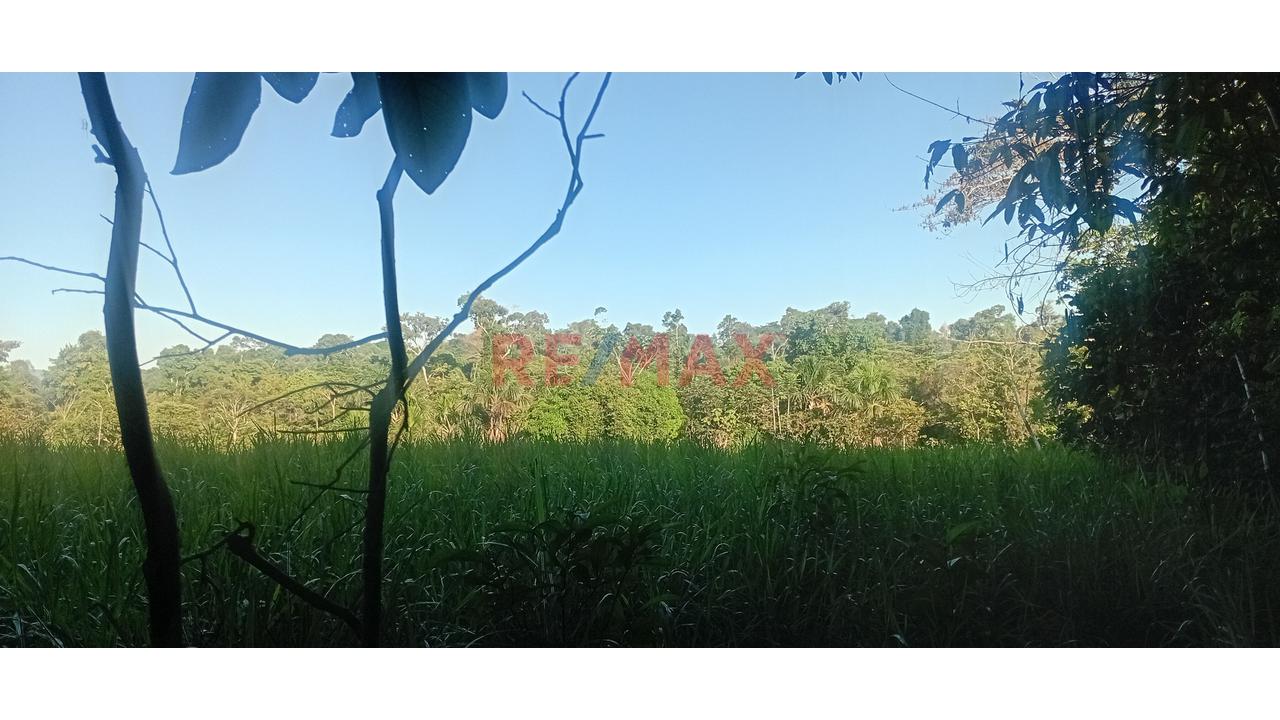 Hermoso Terreno En Lamas - San Martin. Super Precio - 3