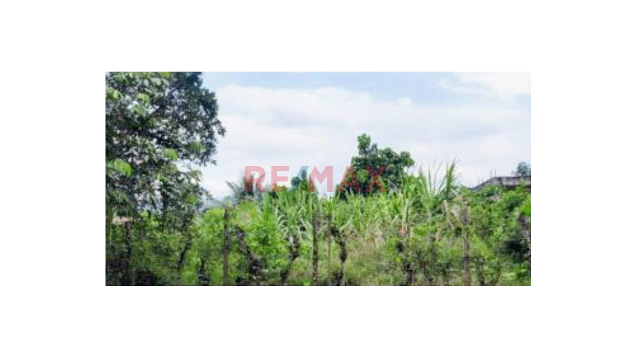 Hermoso Terreno En Lamas - San Martin. Super Precio - 6