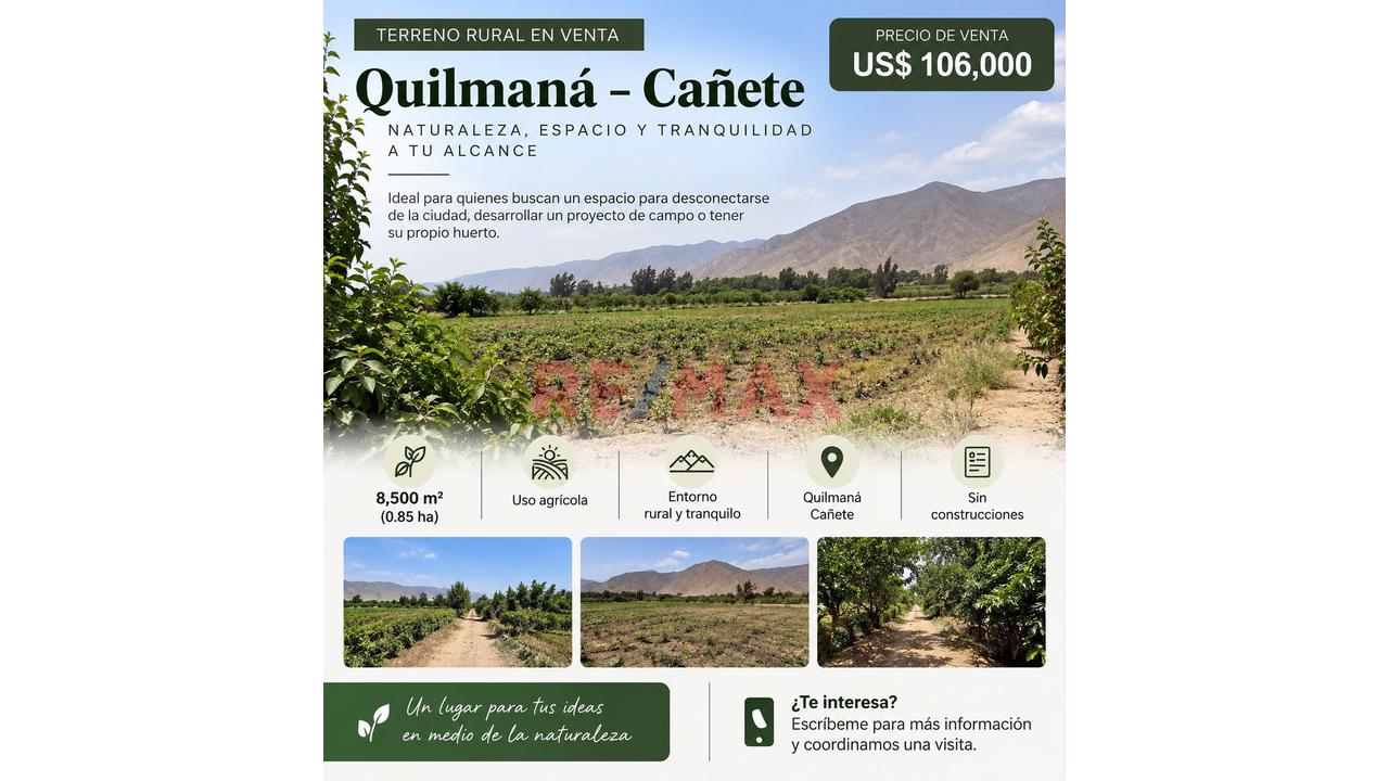 Se Vende Terreno De 8500 M² En Quilmaná - Cañete - 3