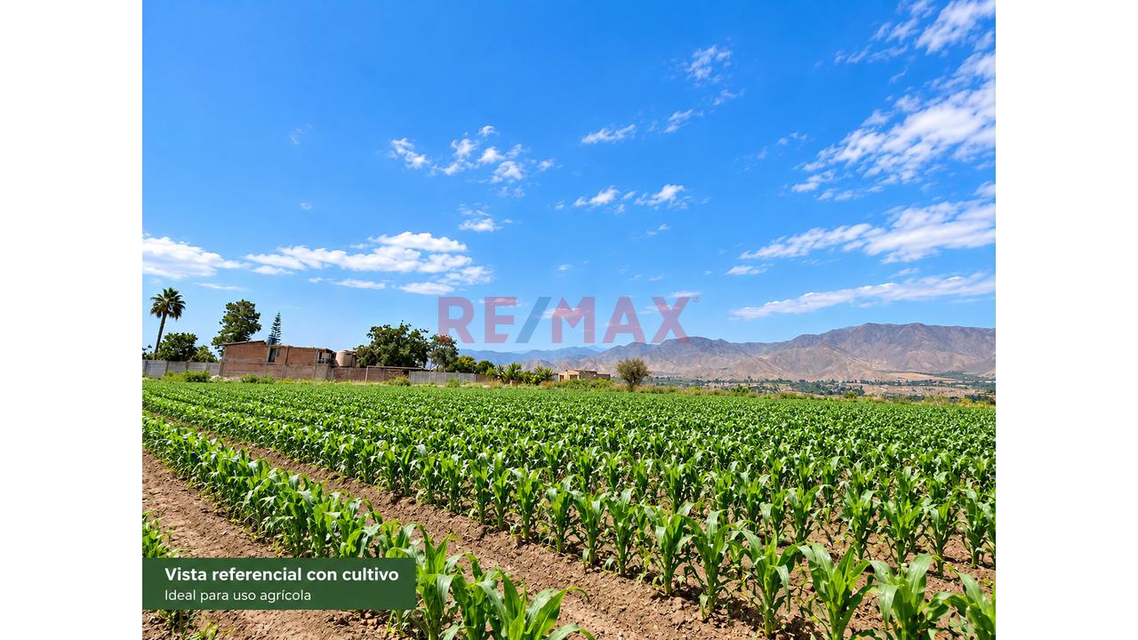 Se Vende Terreno De 8500 M² En Quilmaná - Cañete - 2
