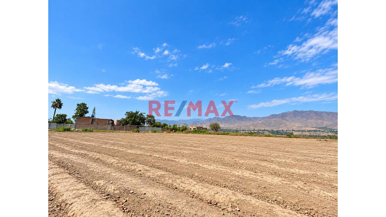 Se Vende Terreno De 8500 M² En Quilmaná - Cañete - 1