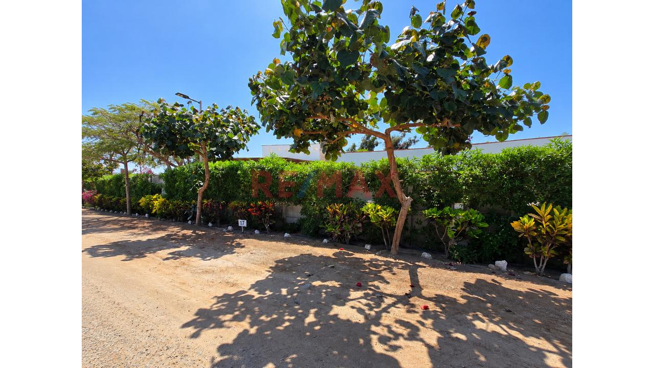 Venta Casa De Campo En El Condominio Las Gardenias De Asia - 18
