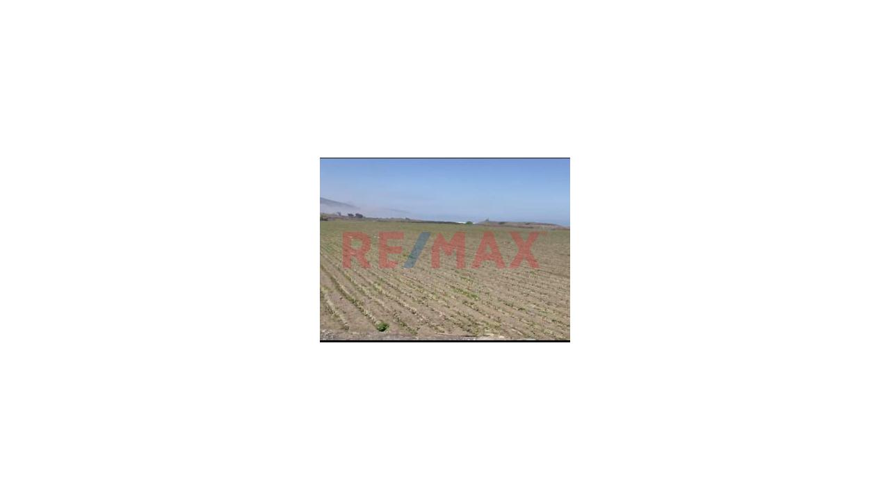 Venta De Terreno En Chancay - 8