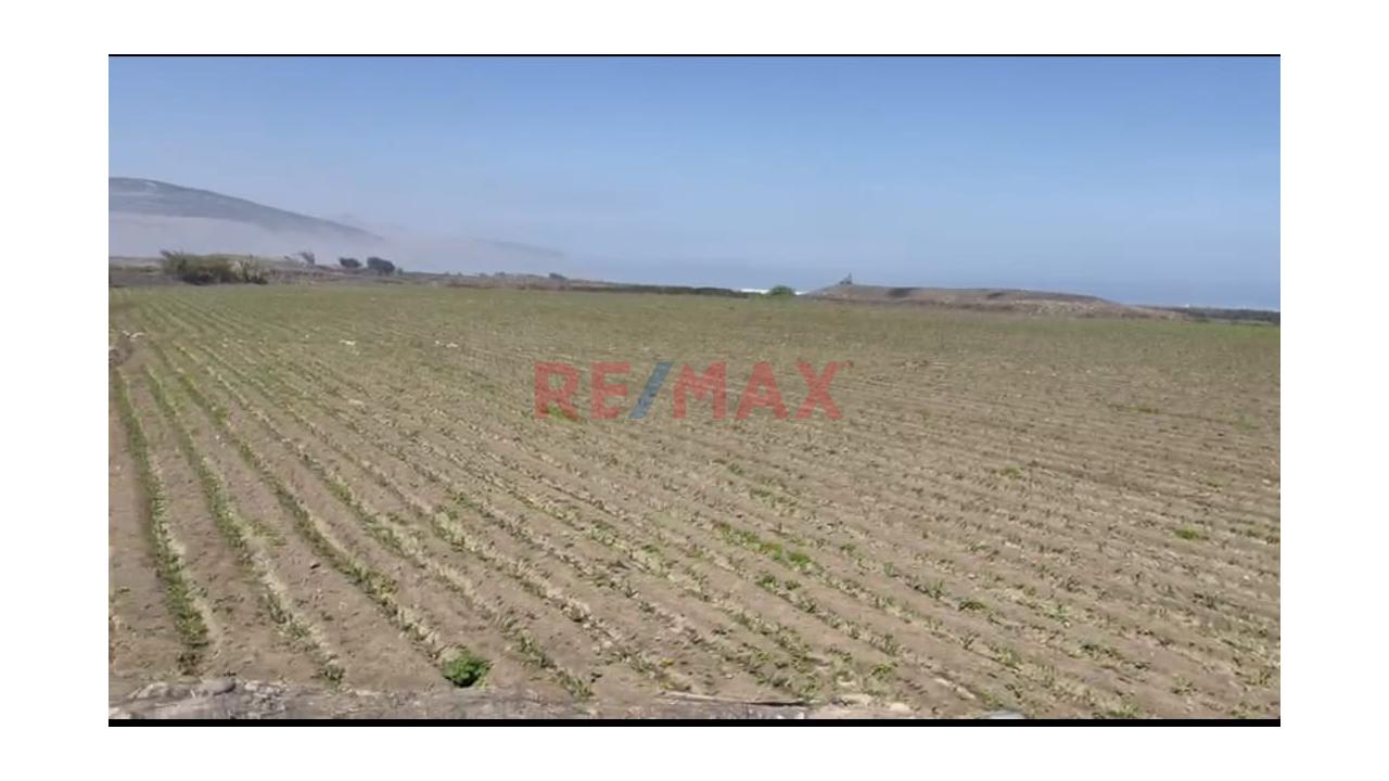 Venta De Terreno En Chancay - 8