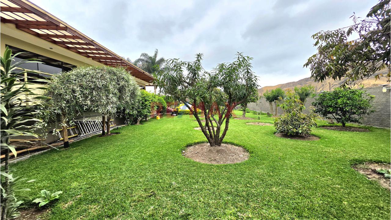 Pachacámac Exclusivo - Venta Casa Campestre De Lujo Con Piscina Y 2 Bungalows — foto 9