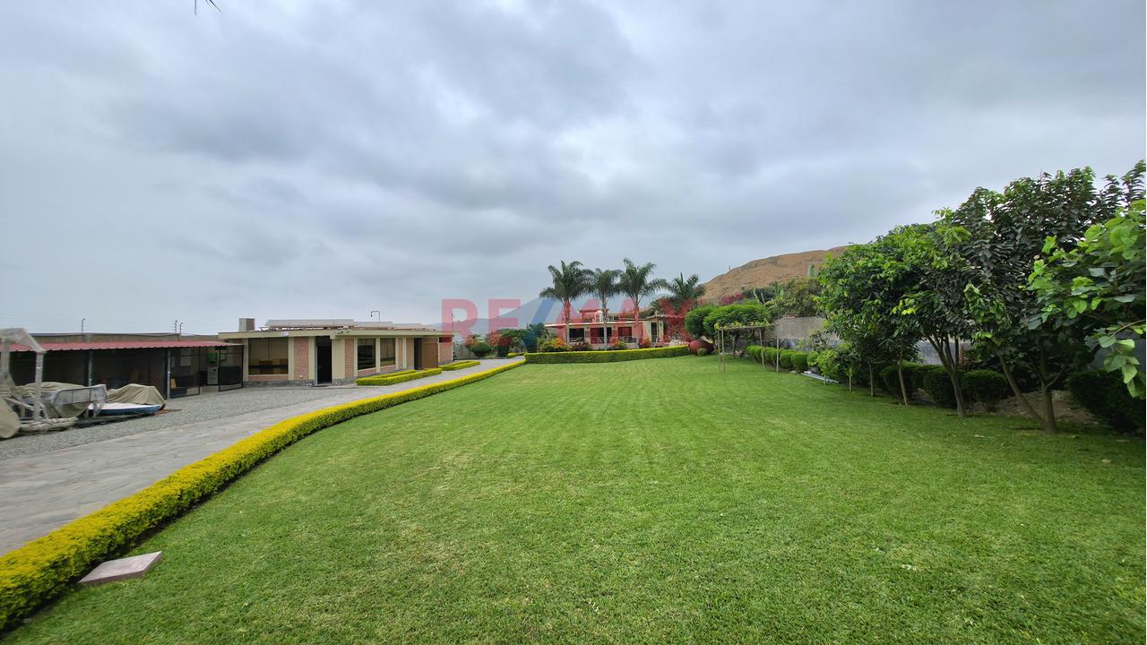 Pachacámac Exclusivo - Venta Casa Campestre De Lujo Con Piscina Y 2 Bungalows — foto 6