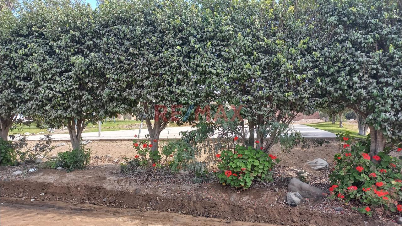 ¡Terreno 168M² En Cieneguilla! A 5 Min Del Óvalo 💎 — foto 4