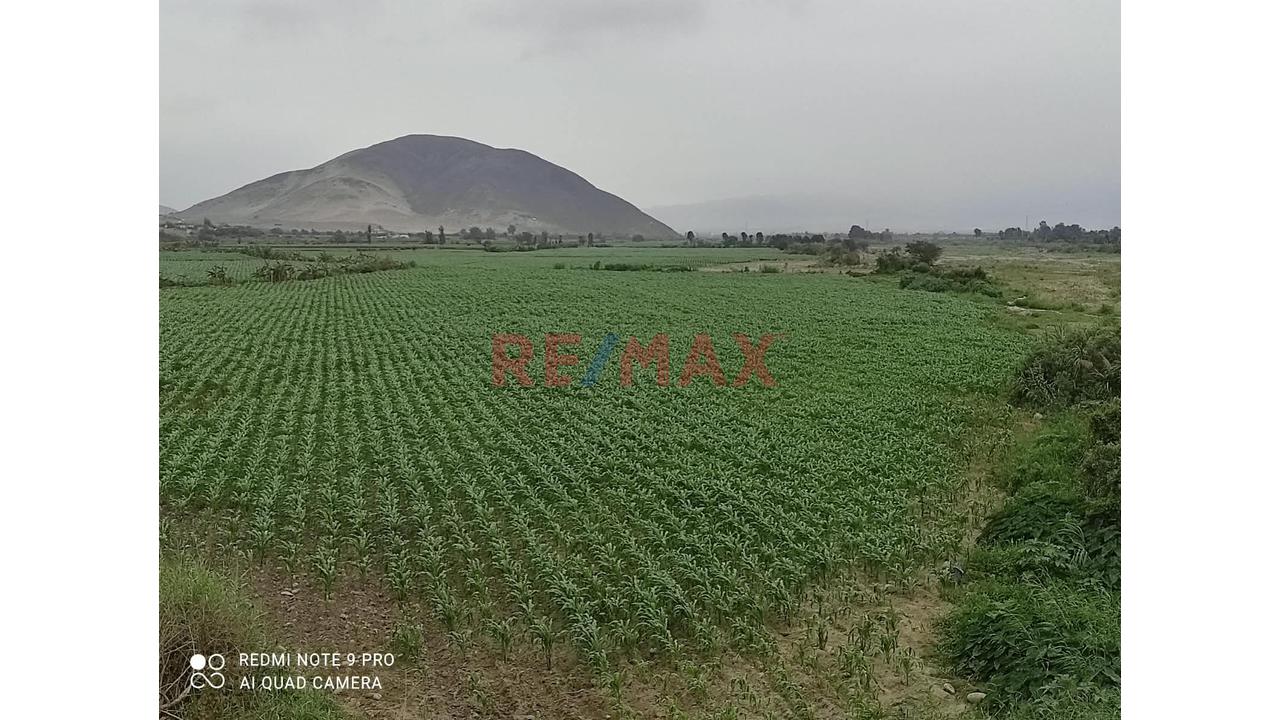 Venta De Terreno En Chancay - 4