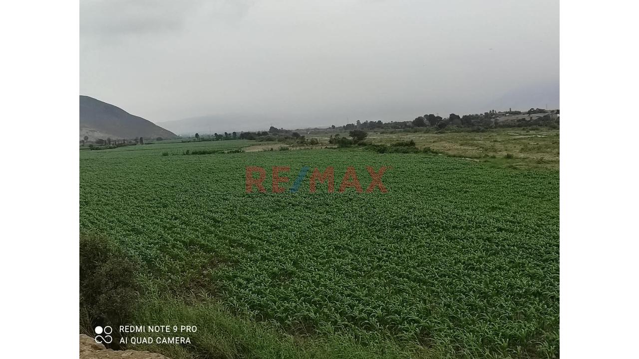 Venta De Terreno En Chancay - 7