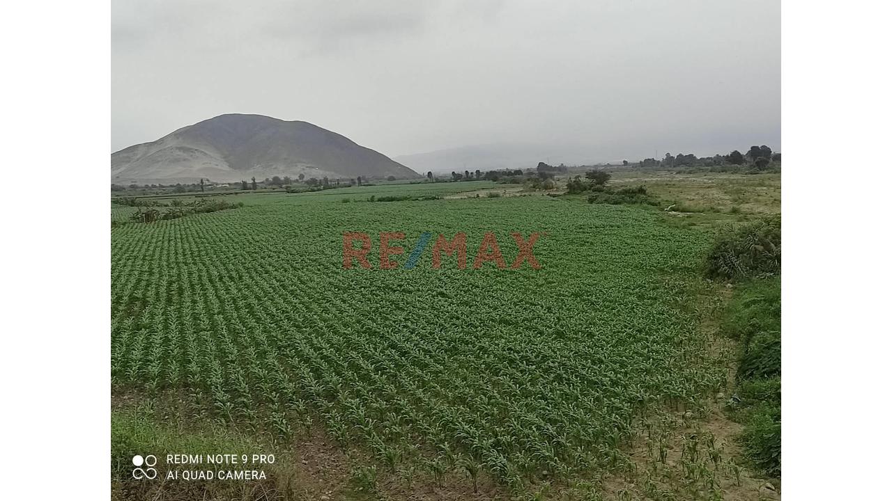 Venta De Terreno En Chancay - 10