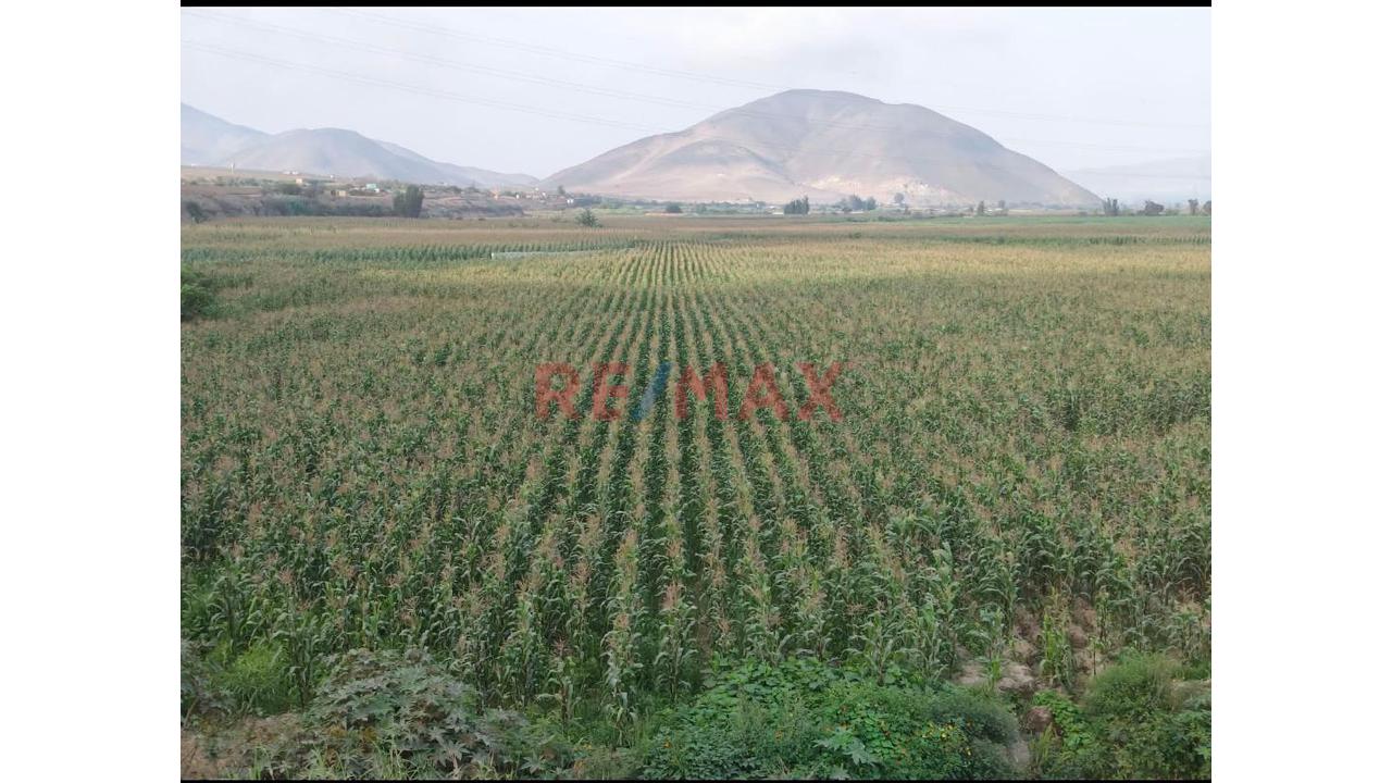 Venta De Terreno En Chancay - 11