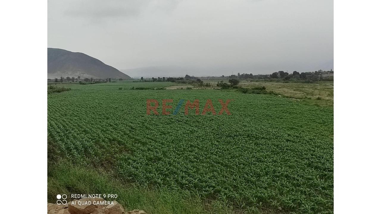 Venta De Terreno En Chancay - 4