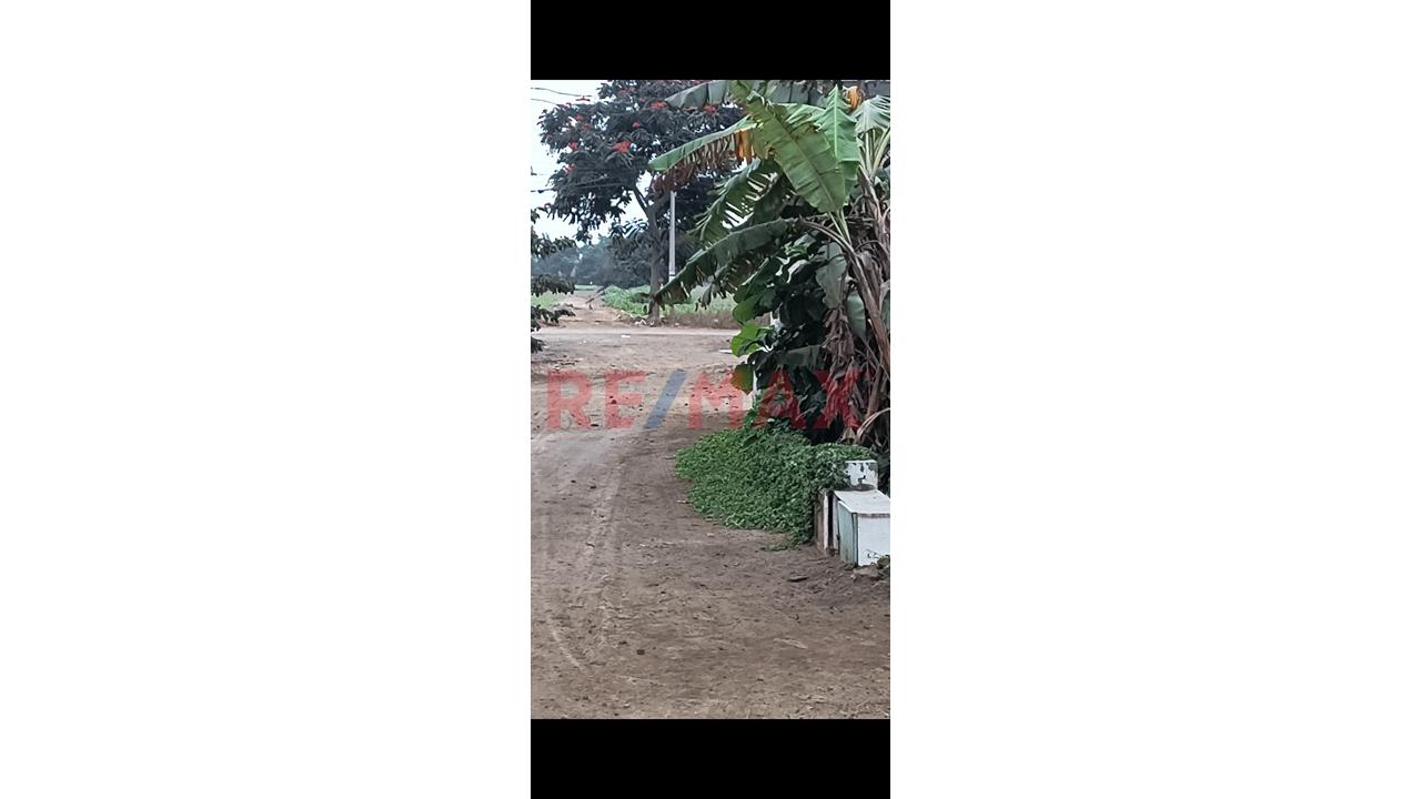 Terreno En Venta - 6