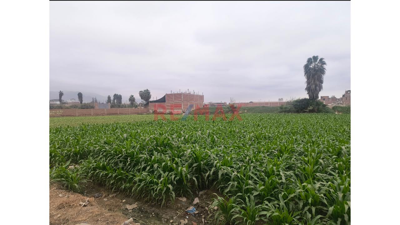 Terreno En Venta - 7