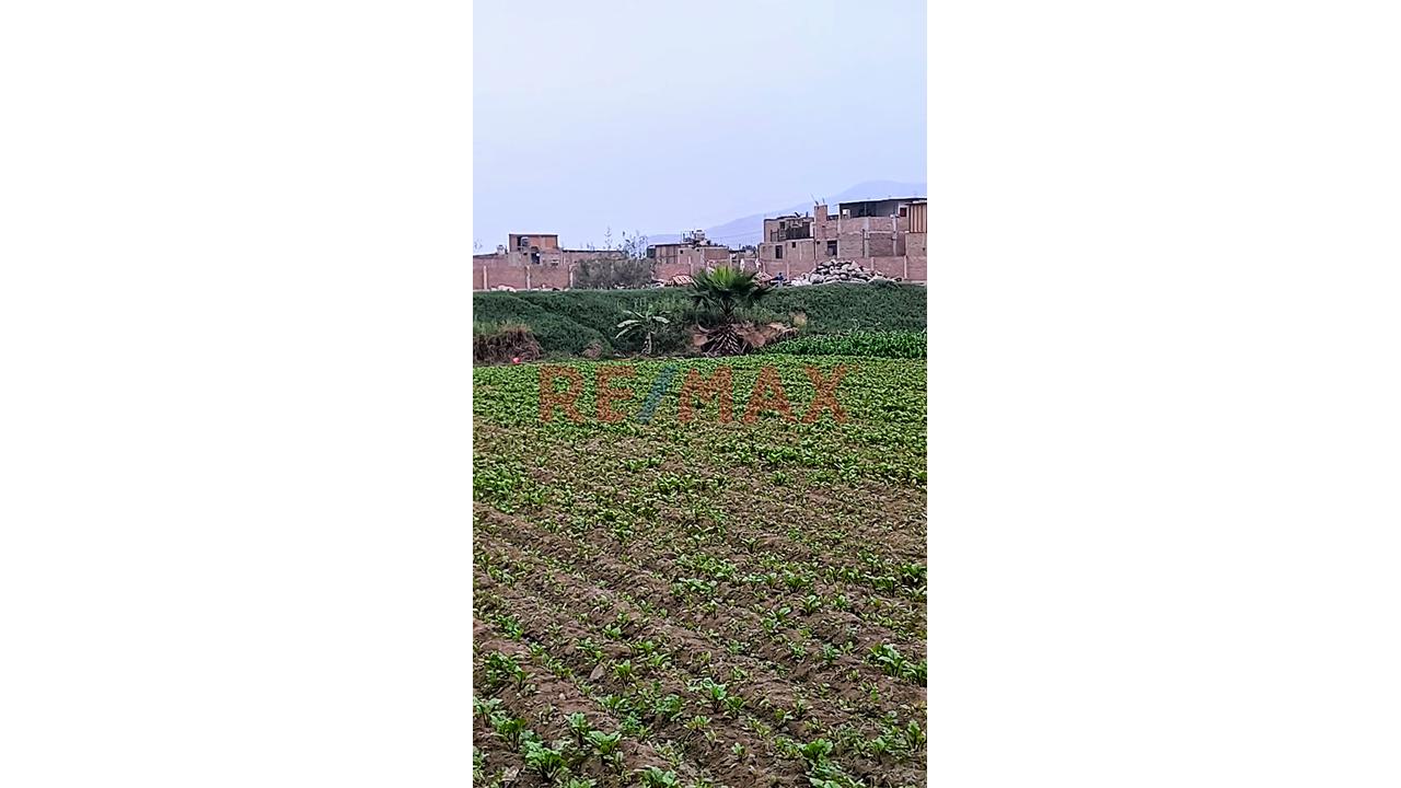 Terreno En Venta - 2