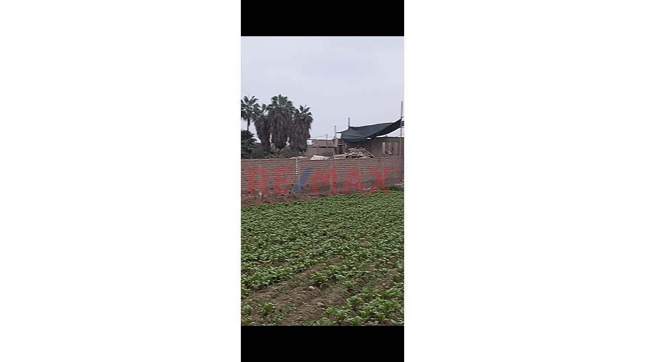 Terreno En Venta - 5