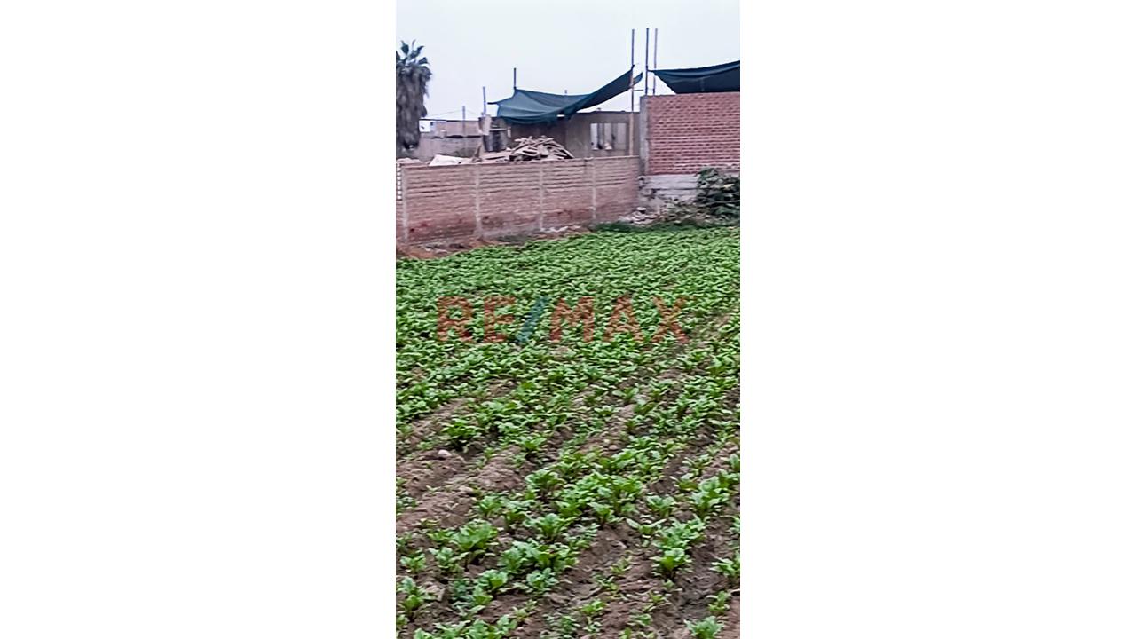 Terreno En Venta - 8