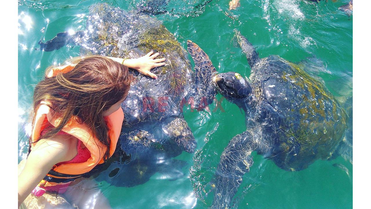 🌊🏖️ Playas De Arena Blanca, Aguas Turquesas Y Un Fenómeno Único: El "Ecotono" 🌅✨, Donde Se Encuentran Las Corrientes Frías Y Cálidas Del Pacífico 🐢🌴 🔥 "Este Es El Norte Del Perú Como No Lo Cono - 6