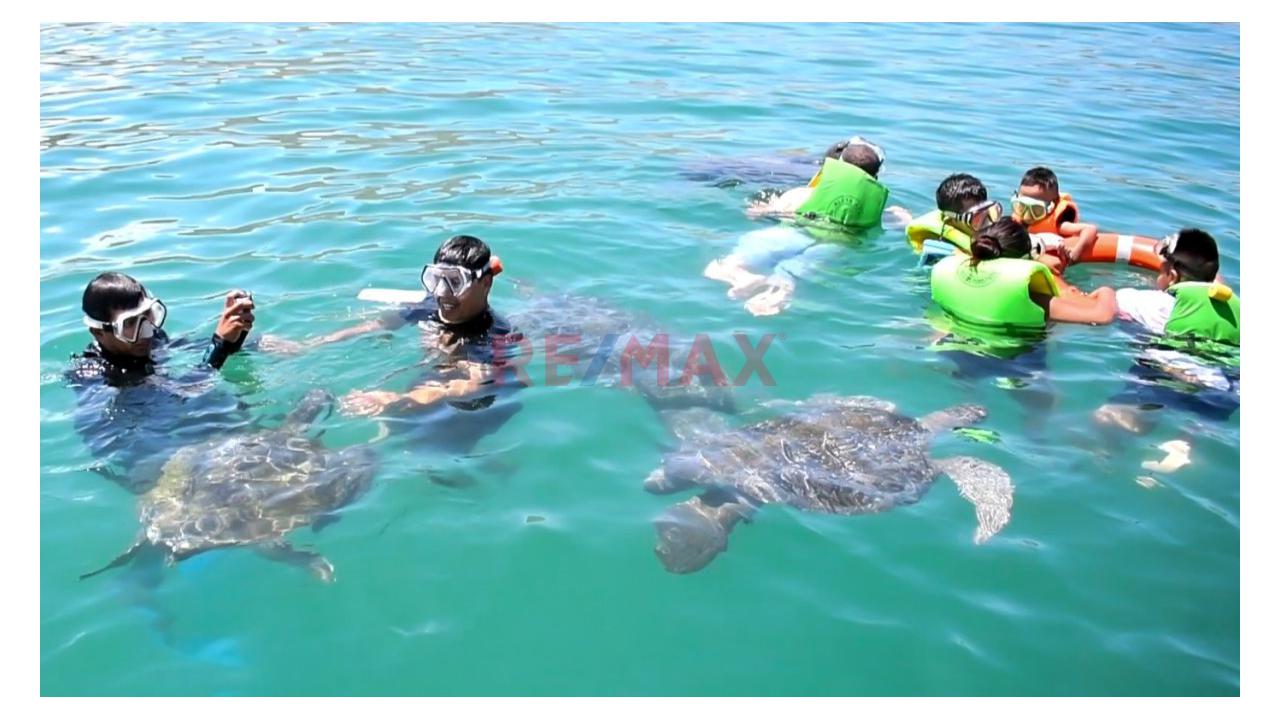 🌊🏖️ Playas De Arena Blanca, Aguas Turquesas Y Un Fenómeno Único: El "Ecotono" 🌅✨, Donde Se Encuentran Las Corrientes Frías Y Cálidas Del Pacífico 🐢🌴 🔥 "Este Es El Norte Del Perú Como No Lo Cono - 8