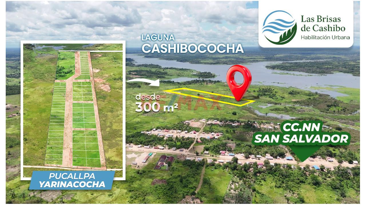 Lotes En Venta En Las Brisas De Cashibococha – Inversión Con Alto Potencial Turístico - 7