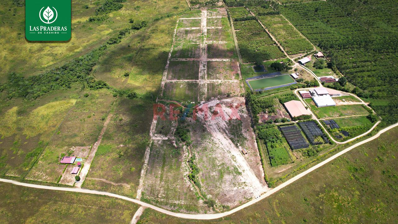 Oportunidad De Inversión En La Laguna De Cashibococha - 6