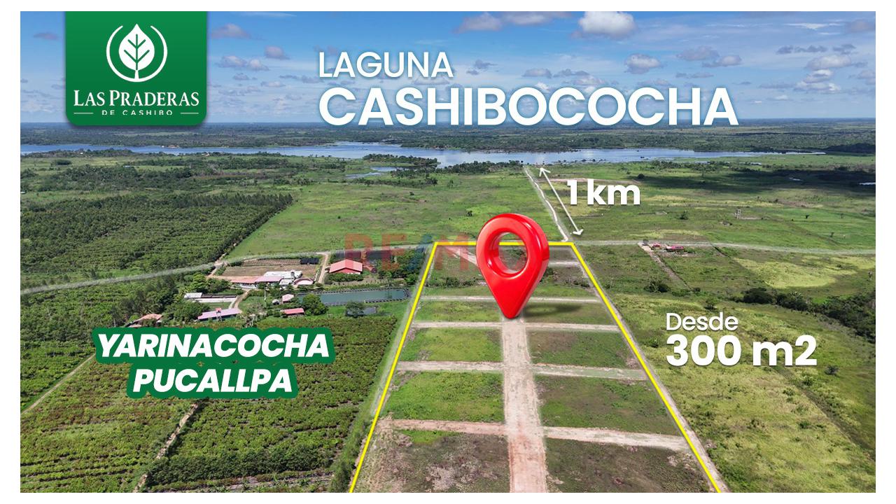 Oportunidad De Inversión En La Laguna De Cashibococha - 1