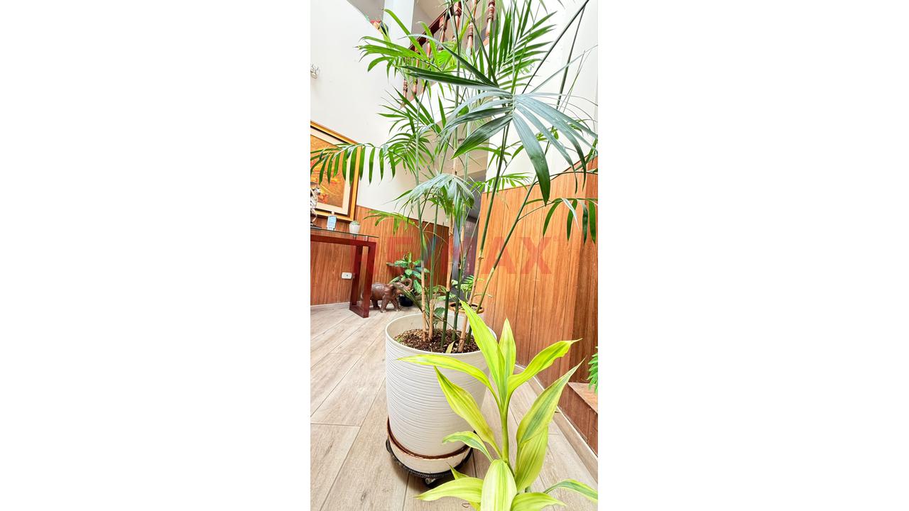 Casa En Venta - San Borja-326M2 - 6