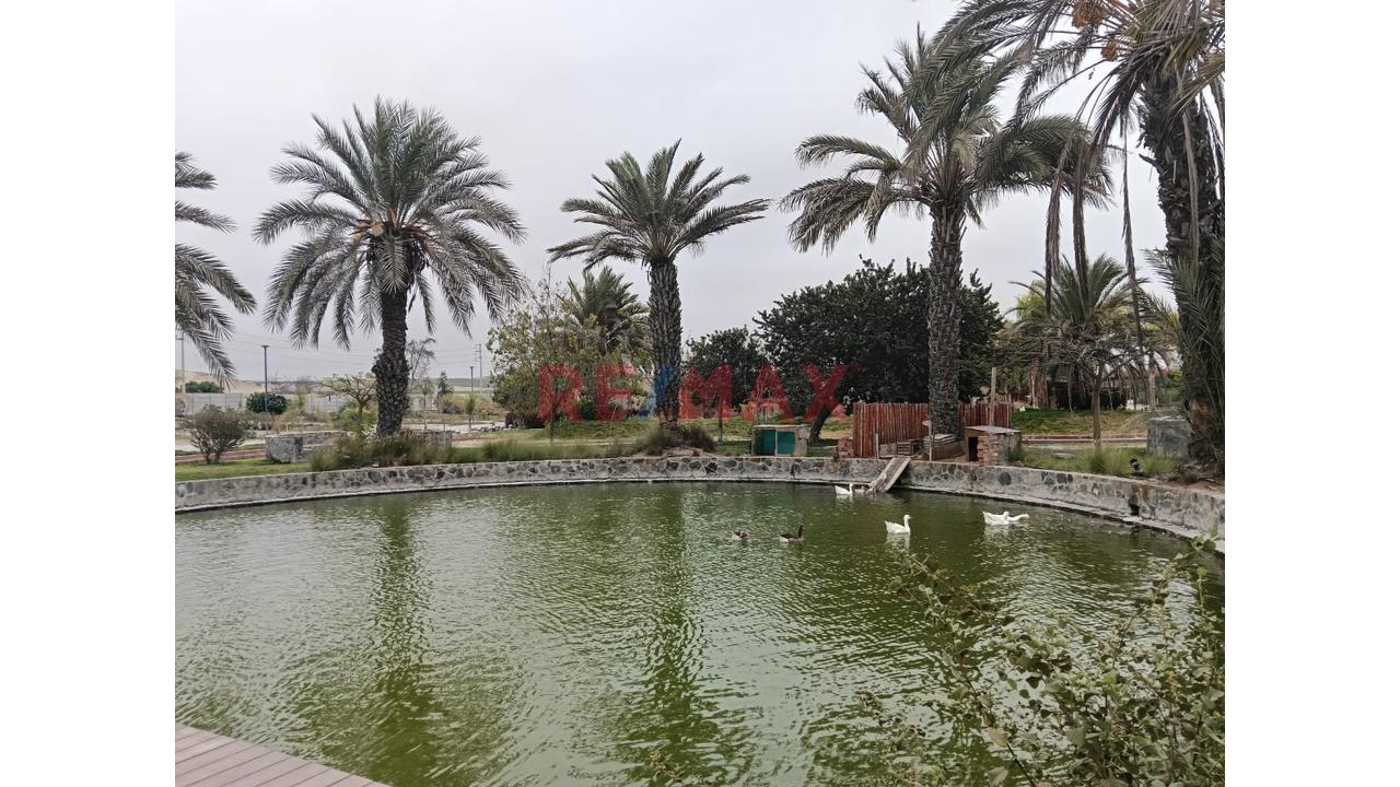 Se Vende Terreno En Condominio Exclusivo La Hacienda De Ica - 9