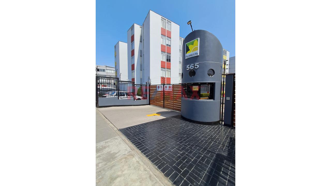 Alquiler Departamento En Surquillo