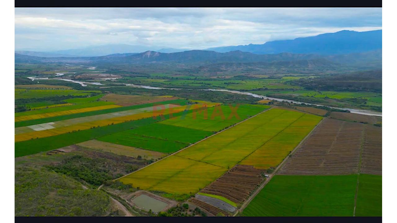 Gran Oportunidad De Inversión Y Desarrollo Territorial Venta De 50,000 Hectáreas Entre Jaen Y Bagua - 13