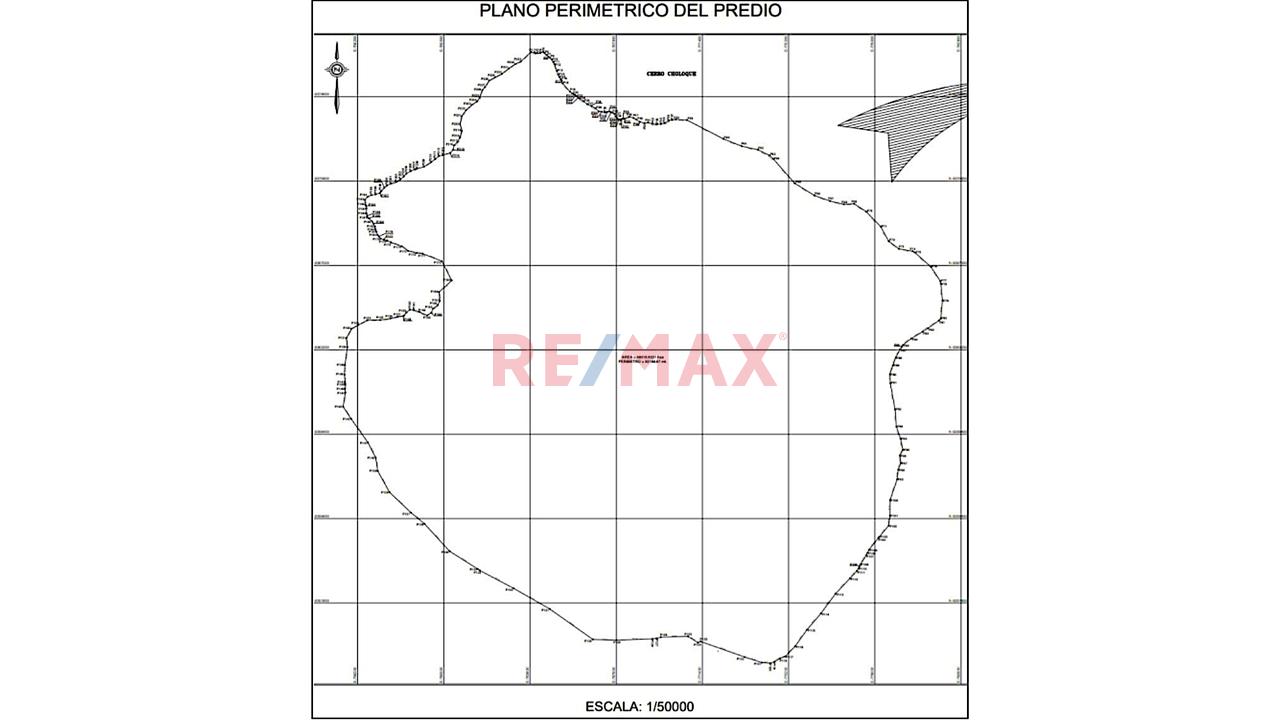 Gran Oportunidad De Inversión Y Desarrollo Territorial Venta De 50,000 Hectáreas Entre Jaen Y Bagua - 8