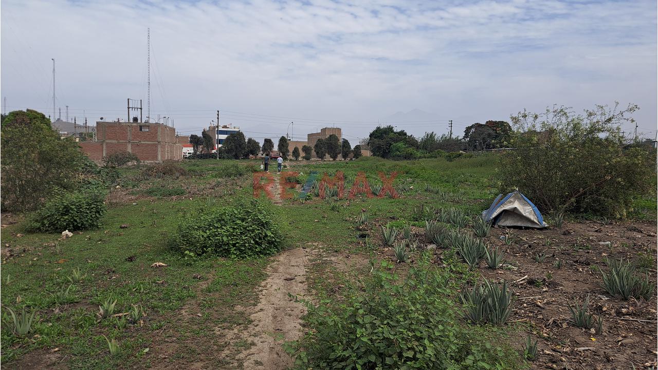 Venta Terreno Carabayllo 3,451.88M2 - 9
