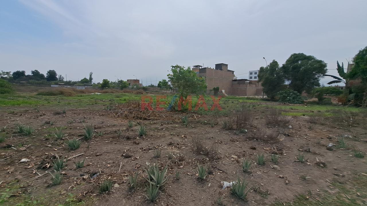 Venta Terreno Carabayllo 3,451.88M2 - 8