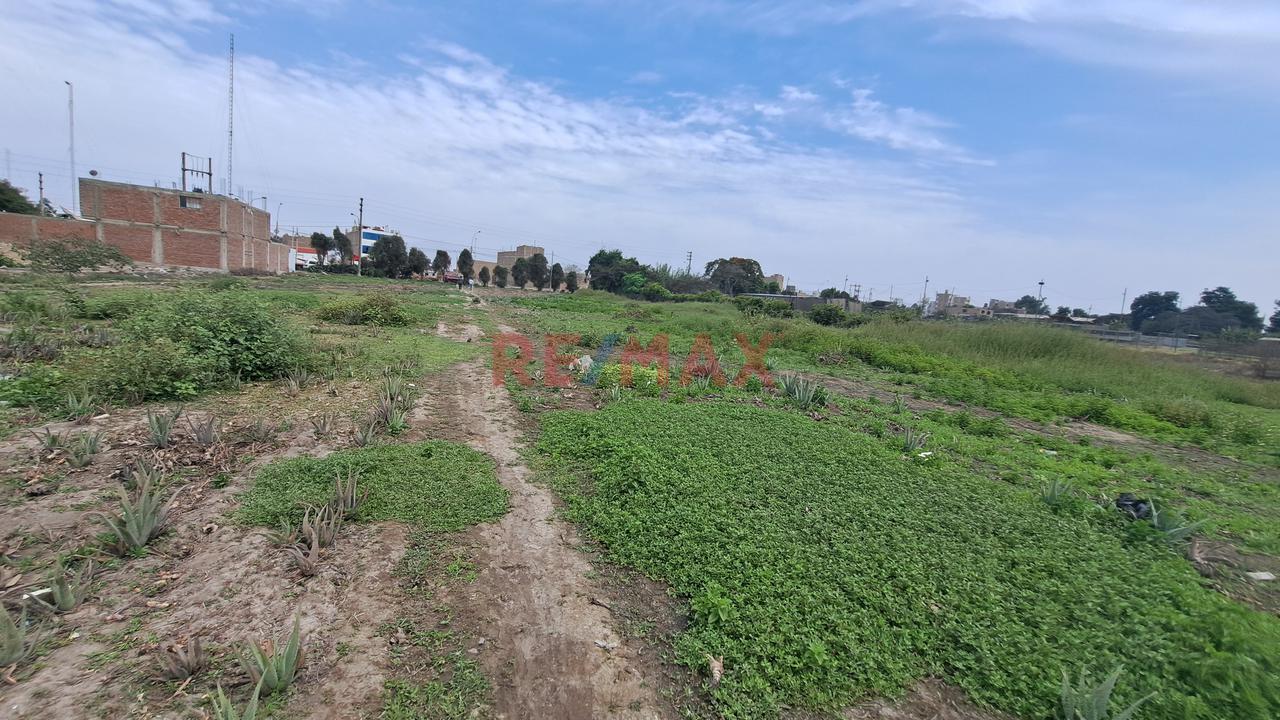 Venta Terreno Carabayllo 3,451.88M2 - 7