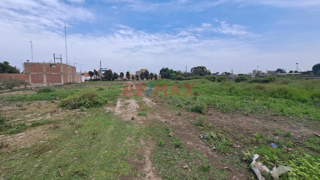 Venta Terreno Carabayllo 3,451.88M2 - 6