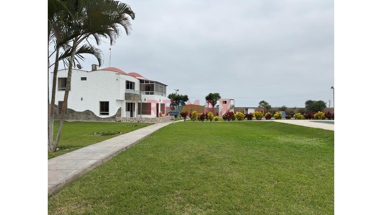Casa Hacienda En Cañete | 3.3 Hectáreas Con Casa, Piscina, Eventos Y Terreno Agrícola — foto 13