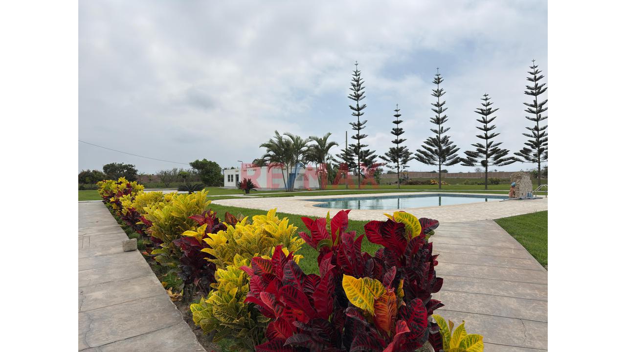 Casa Hacienda En Cañete | 3.3 Hectáreas Con Casa, Piscina, Eventos Y Terreno Agrícola — foto 12