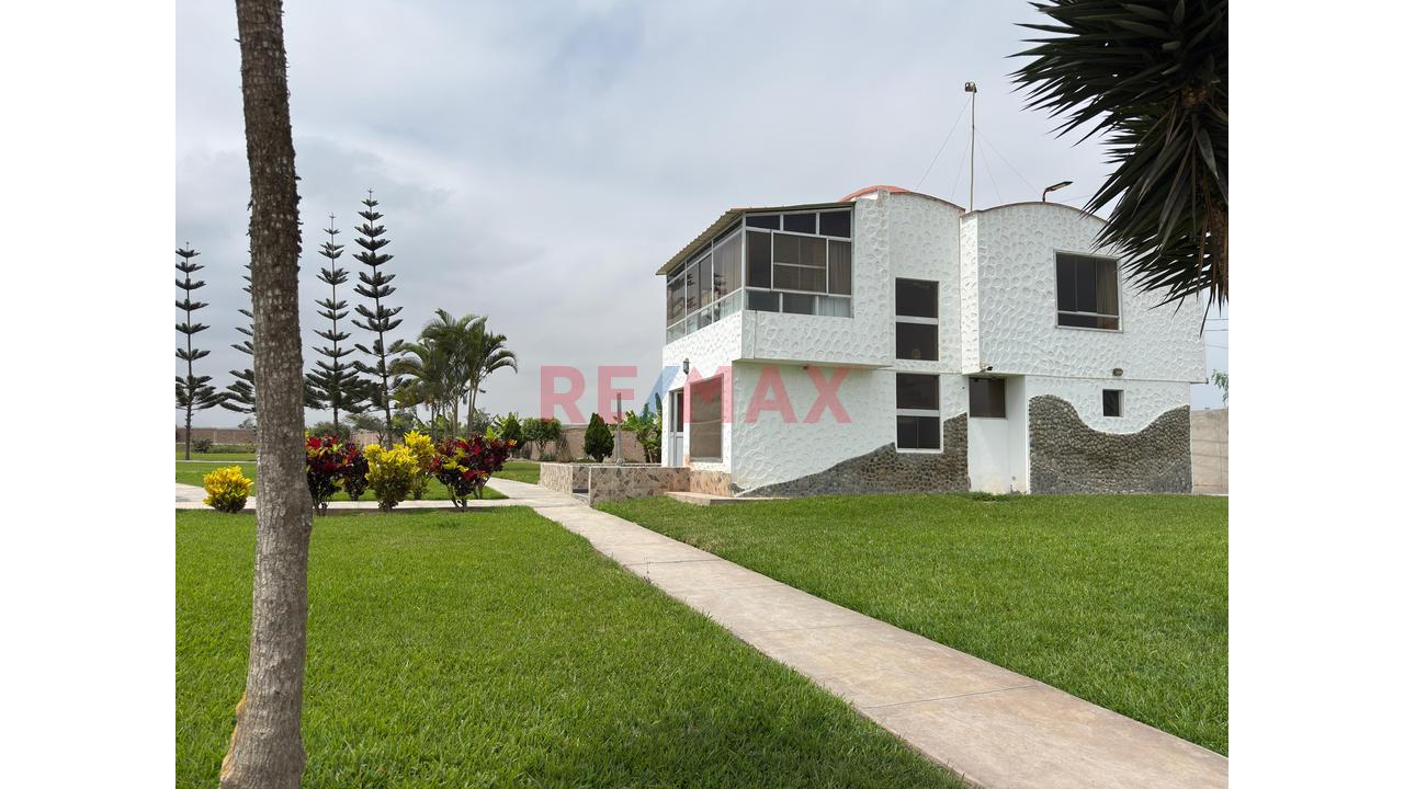Casa Hacienda En Cañete | 3.3 Hectáreas Con Casa, Piscina, Eventos Y Terreno Agrícola — foto 15