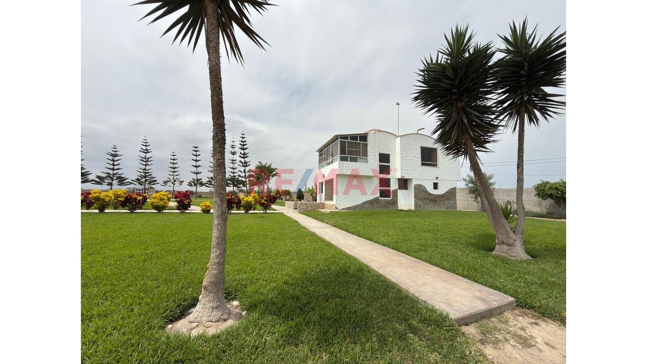 Casa Hacienda En Cañete | 3.3 Hectáreas Con Casa, Piscina, Eventos Y Terreno Agrícola — foto 14