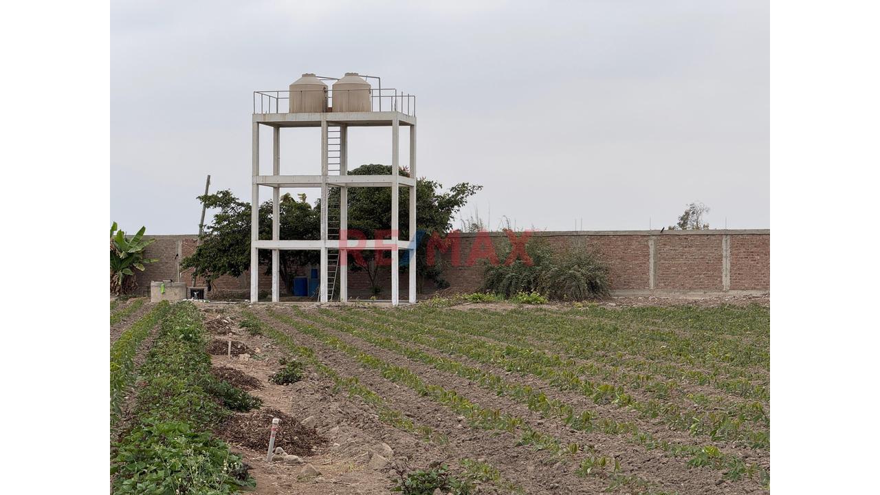 Casa Hacienda En Cañete | 3.3 Hectáreas Con Casa, Piscina, Eventos Y Terreno Agrícola - 20
