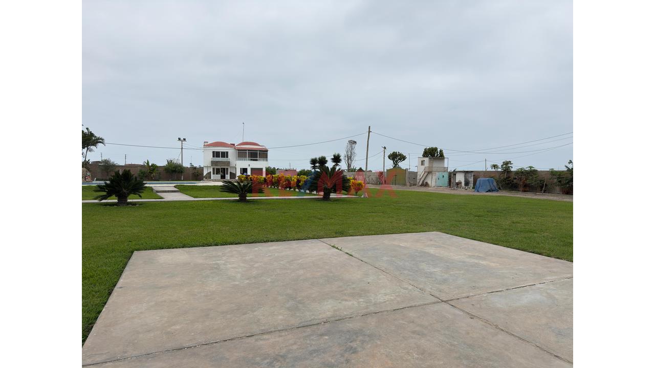 Casa Hacienda En Cañete | 3.3 Hectáreas Con Casa, Piscina, Eventos Y Terreno Agrícola - 17