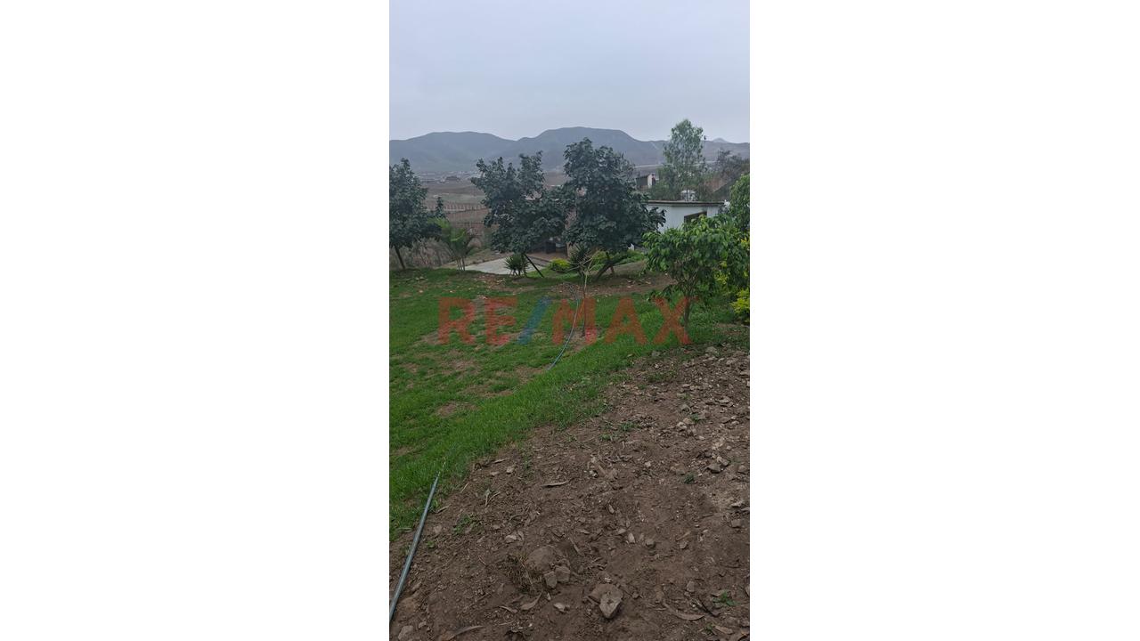 Se Vende Terreno En Pachacamac - 17